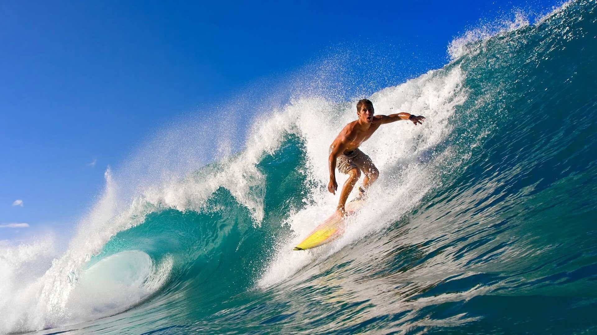 _雄鹿持续稳步提升,迎来佳绩_,雄鹿11