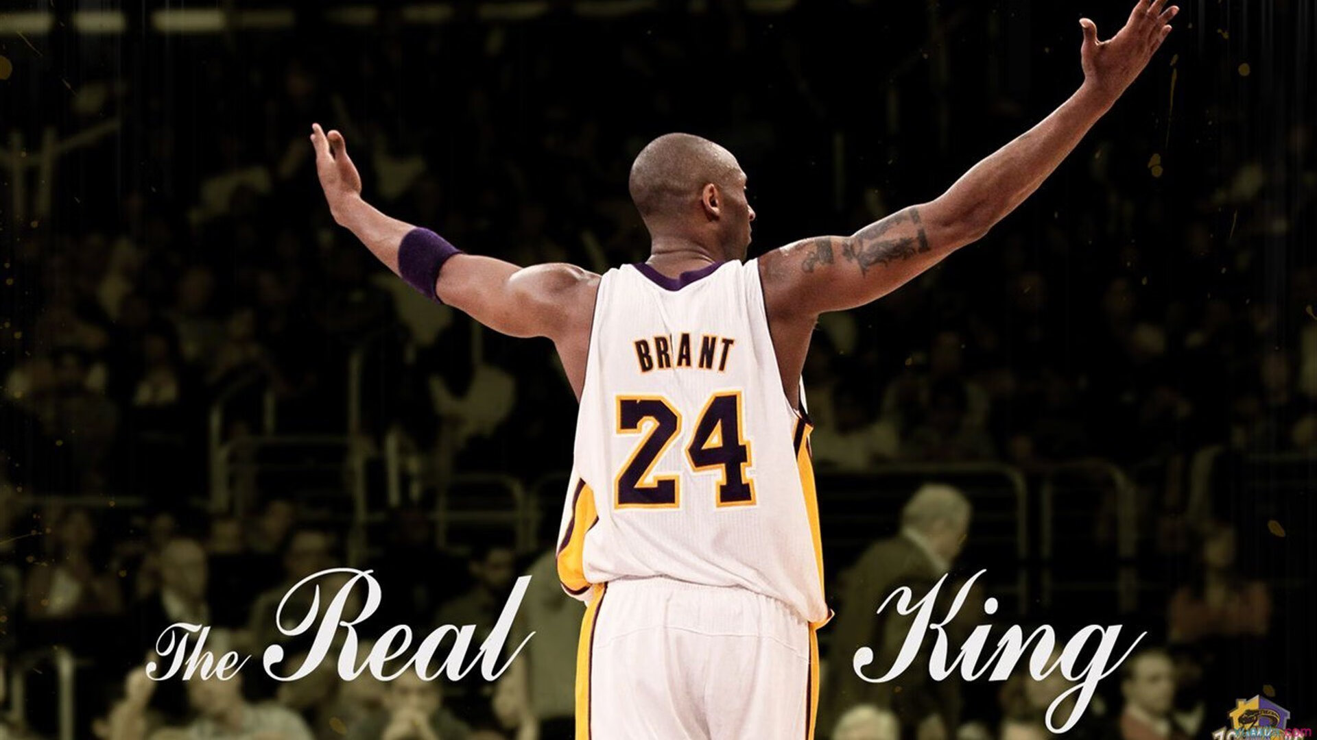 球迷文化大融合,现场氛围热烈,球迷文化的见解